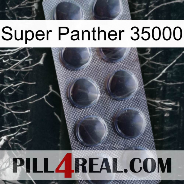 Super Panther 35000 30.jpg